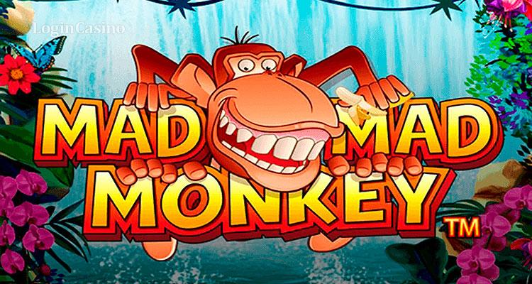 Mad Mad Monkey від NextGen